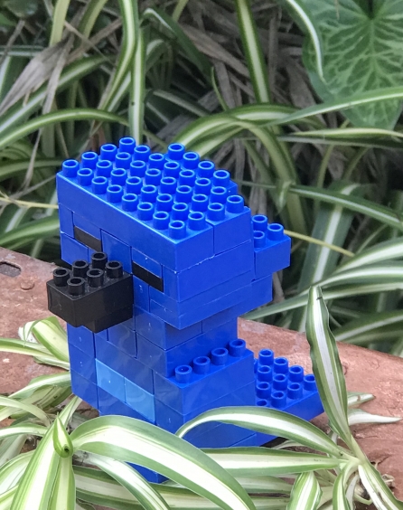 Blue durmiendo 